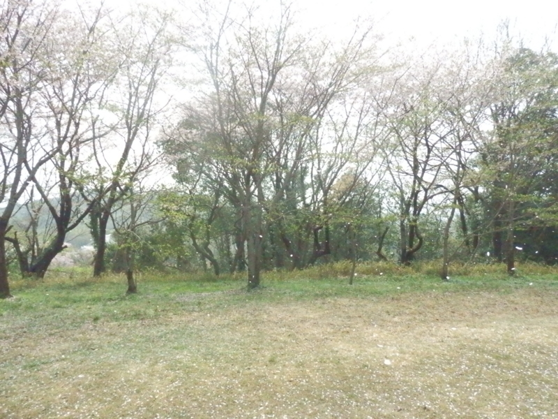 f:id:oborodukiyo22:20150405144557j:plain f:id:oborodukiyo22:20150405144557j:plain