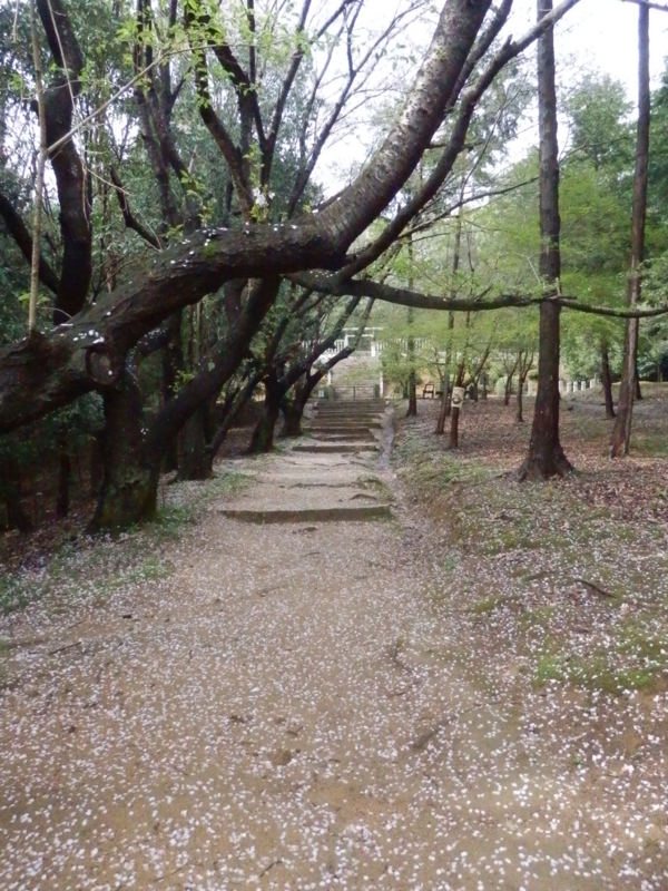 f:id:oborodukiyo22:20150405144742j:plain f:id:oborodukiyo22:20150405144742j:plain