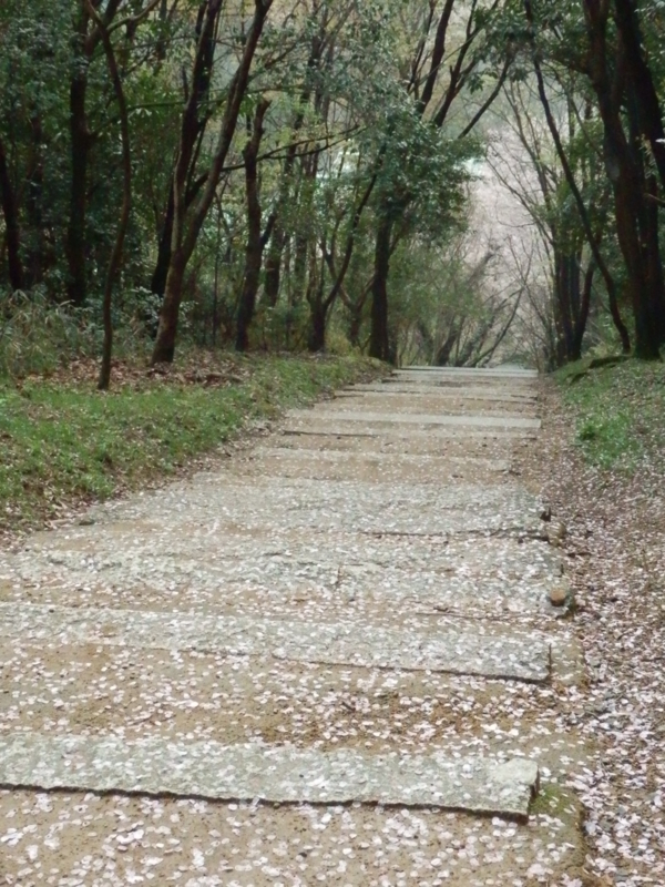 f:id:oborodukiyo22:20150405144759j:plain f:id:oborodukiyo22:20150405144759j:plain