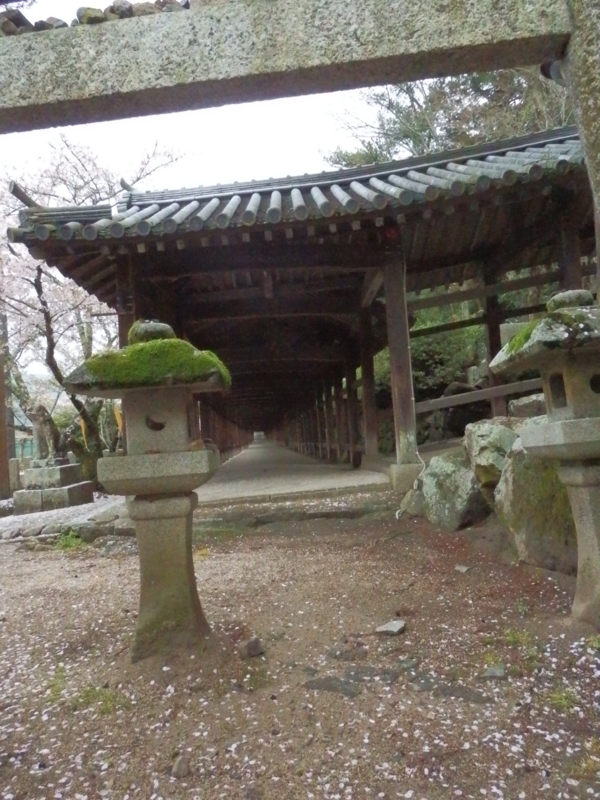 f:id:oborodukiyo22:20150405150552j:plain f:id:oborodukiyo22:20150405150552j:plain