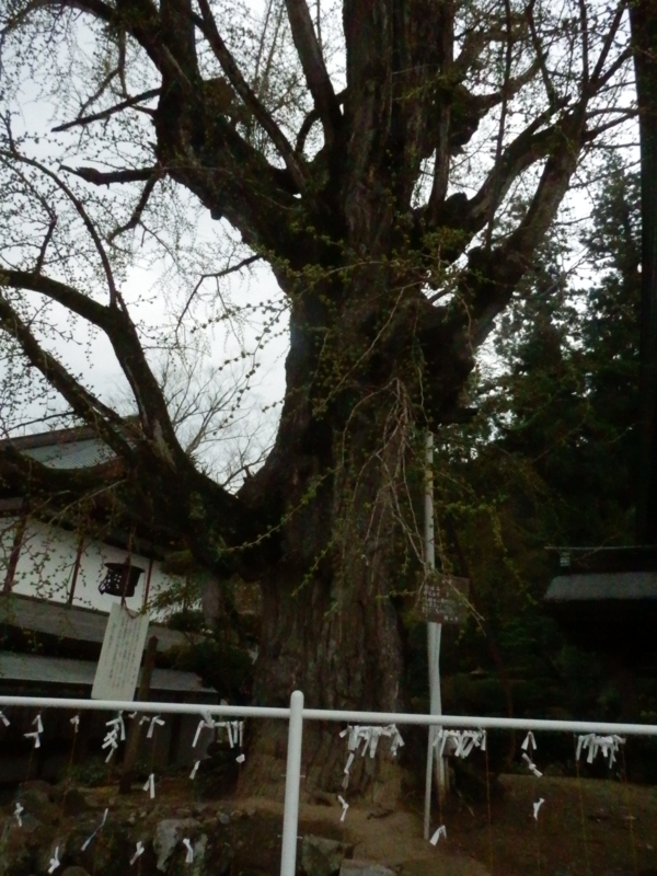 f:id:oborodukiyo22:20150405152558j:plain f:id:oborodukiyo22:20150405152558j:plain
