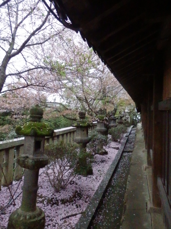 f:id:oborodukiyo22:20150405152825j:plain f:id:oborodukiyo22:20150405152825j:plain