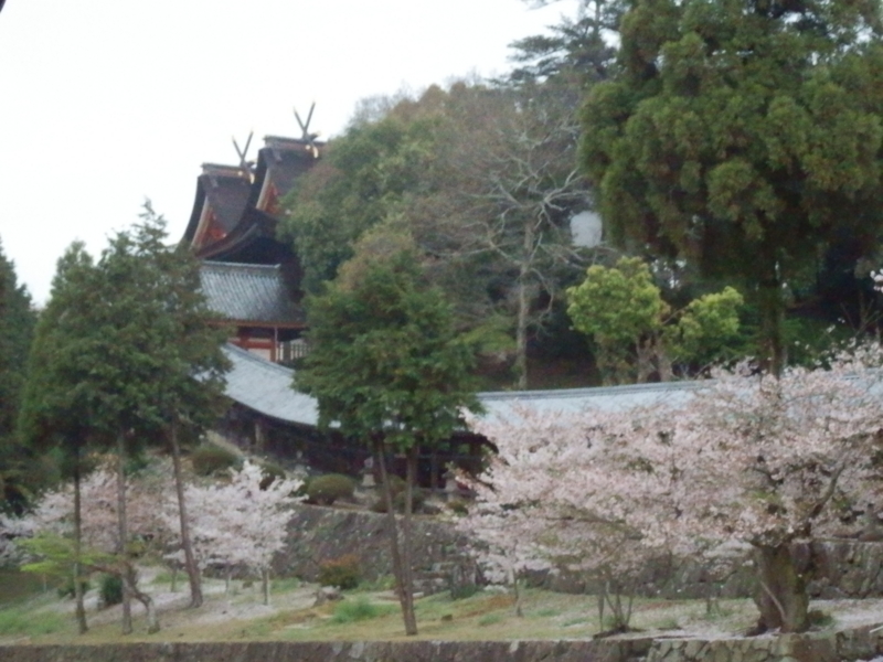 f:id:oborodukiyo22:20150405153705j:plain f:id:oborodukiyo22:20150405153705j:plain