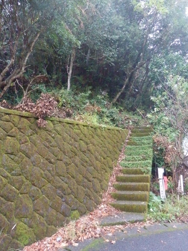 f:id:oborodukiyo22:20151109111751j:plain f:id:oborodukiyo22:20151109111751j:plain