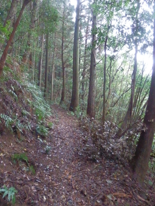 f:id:oborodukiyo22:20151109112311j:plain f:id:oborodukiyo22:20151109112311j:plain