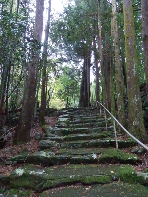 f:id:oborodukiyo22:20151109114203j:plain f:id:oborodukiyo22:20151109114203j:plain