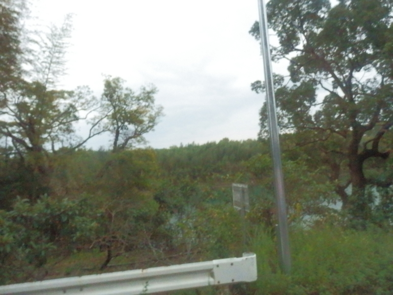 f:id:oborodukiyo22:20151109124251j:plain f:id:oborodukiyo22:20151109124251j:plain