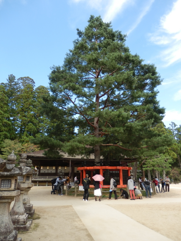 f:id:oborodukiyo22:20170930133219j:plain