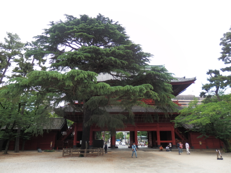f:id:oborodukiyo22:20180528143450j:plain f:id:oborodukiyo22:20180528143450j:plain