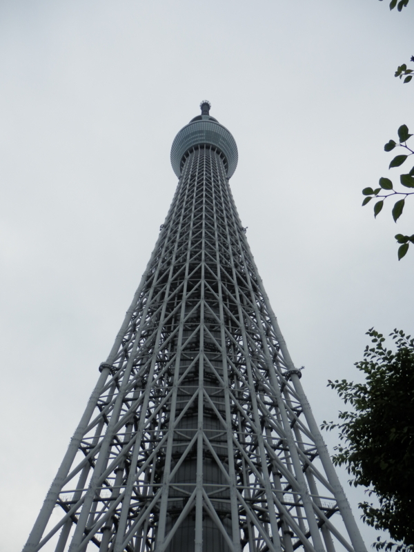 f:id:oborodukiyo22:20180528153310j:plain f:id:oborodukiyo22:20180528153310j:plain