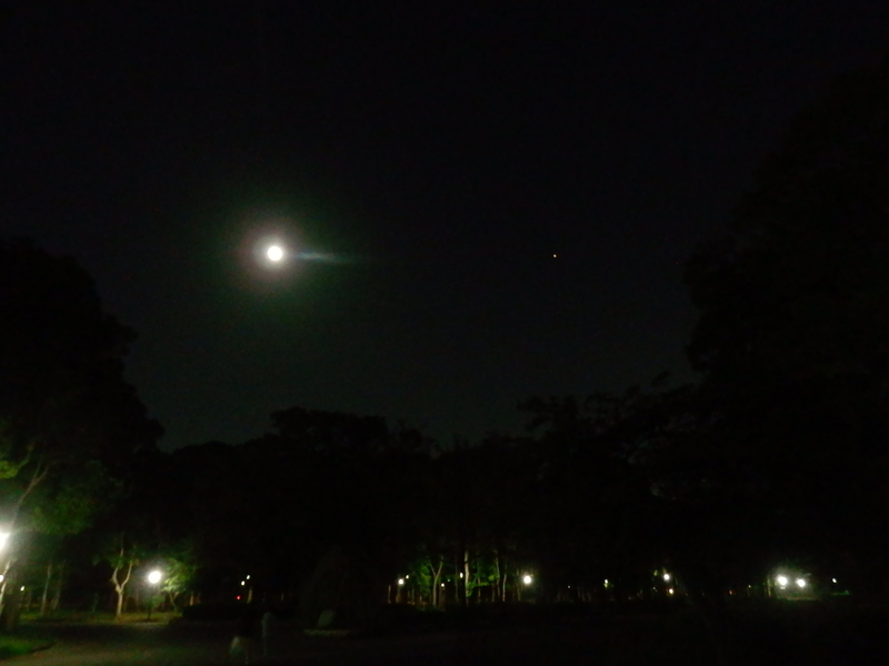 f:id:oborodukiyo22:20180825204938j:plain f:id:oborodukiyo22:20180825204938j:plain