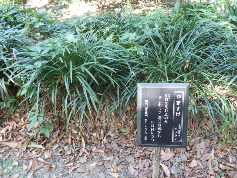 f:id:oborodukiyo22:20180826152958j:plain f:id:oborodukiyo22:20180826152958j:plain