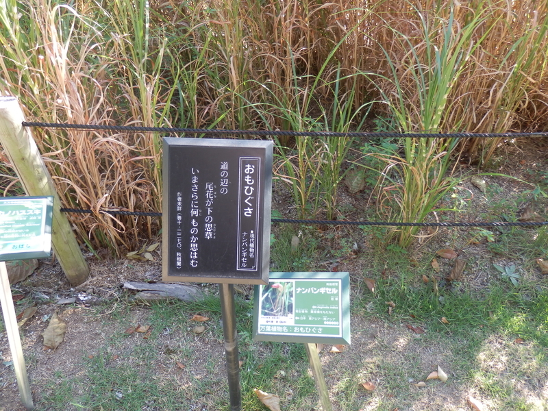 f:id:oborodukiyo22:20180826154627j:plain f:id:oborodukiyo22:20180826154627j:plain