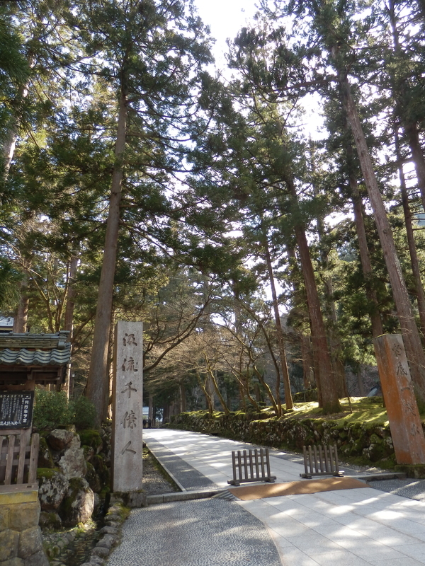 f:id:oborodukiyo22:20190223111834j:plain f:id:oborodukiyo22:20190223111834j:plain