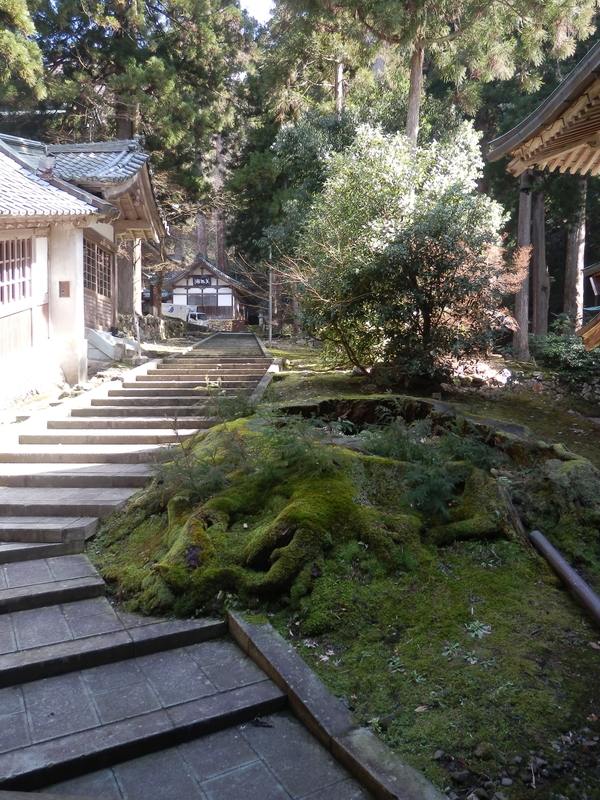 f:id:oborodukiyo22:20190223122449j:plain f:id:oborodukiyo22:20190223122449j:plain