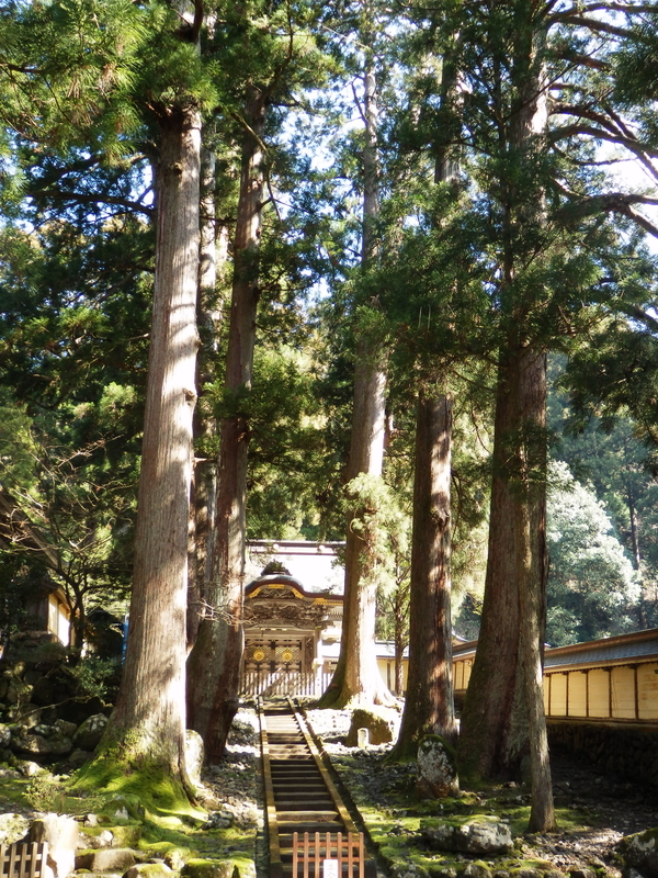 f:id:oborodukiyo22:20190223130114j:plain f:id:oborodukiyo22:20190223130114j:plain