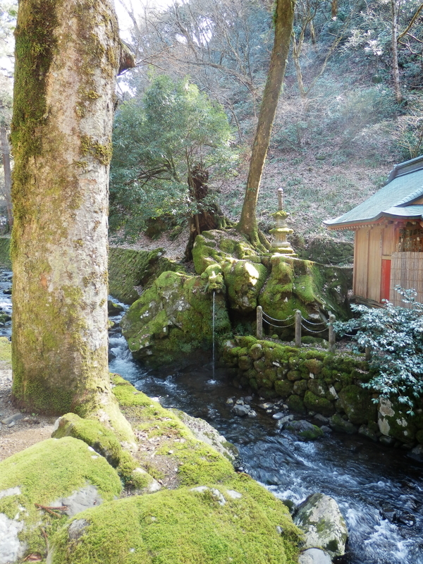 f:id:oborodukiyo22:20190223130249j:plain f:id:oborodukiyo22:20190223130249j:plain