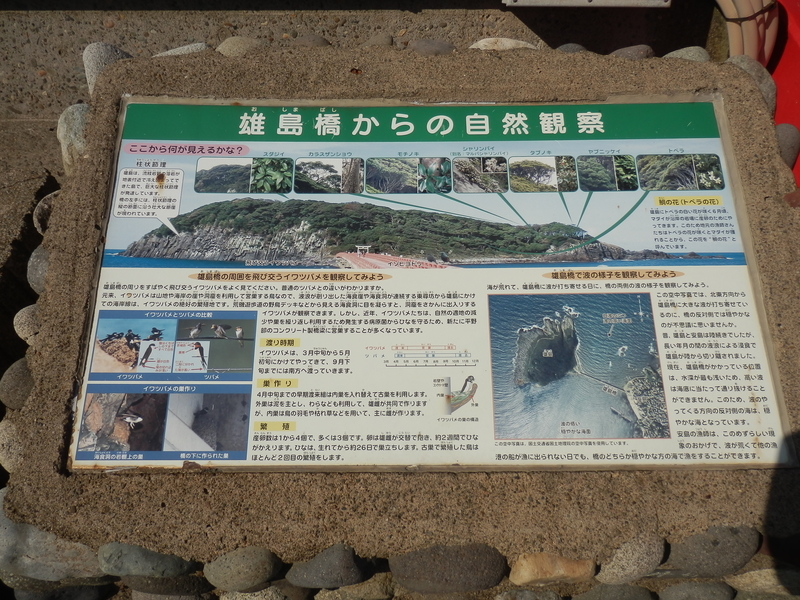 f:id:oborodukiyo22:20190224120621j:plain f:id:oborodukiyo22:20190224120621j:plain