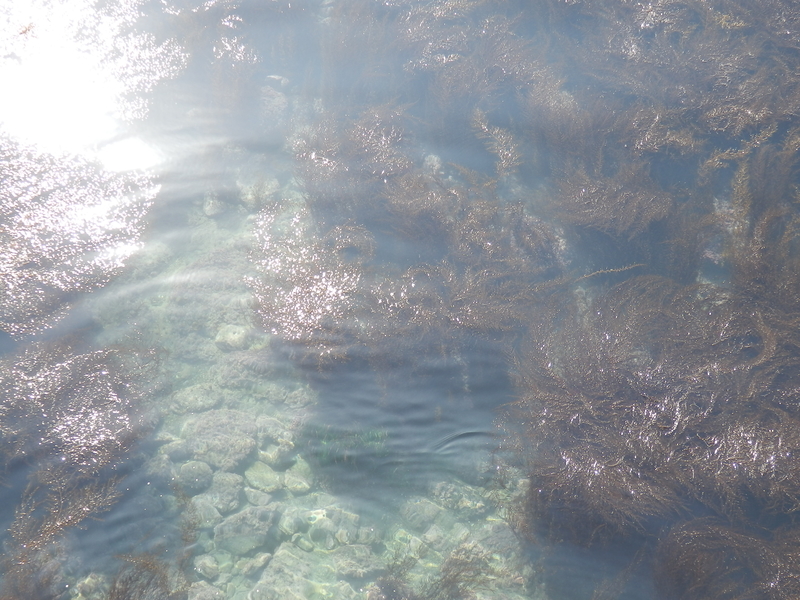 f:id:oborodukiyo22:20190224120841j:plain f:id:oborodukiyo22:20190224120841j:plain