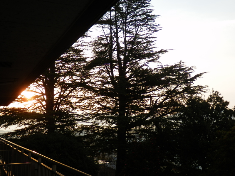 f:id:oborodukiyo22:20190225070803j:plain f:id:oborodukiyo22:20190225070803j:plain