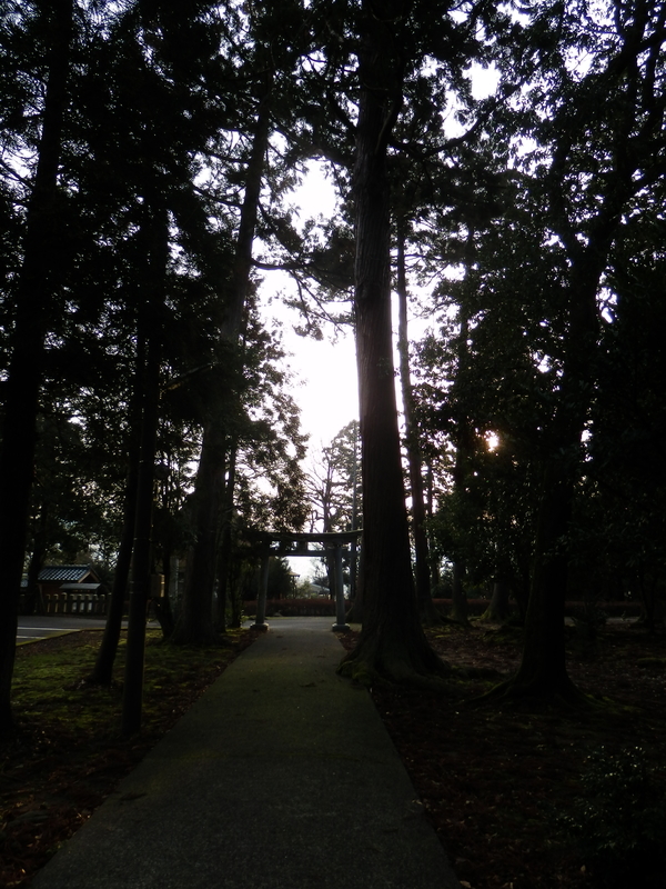 f:id:oborodukiyo22:20190225074101j:plain f:id:oborodukiyo22:20190225074101j:plain