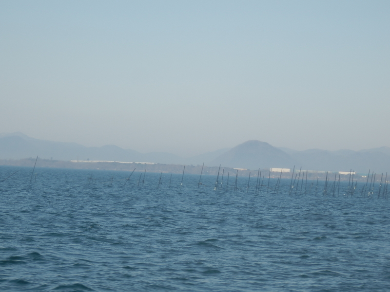 f:id:oborodukiyo22:20190225130129j:plain f:id:oborodukiyo22:20190225130129j:plain