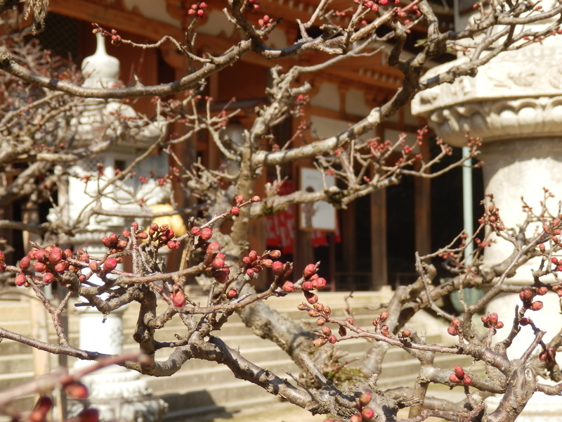 f:id:oborodukiyo22:20190225134932j:plain f:id:oborodukiyo22:20190225134932j:plain
