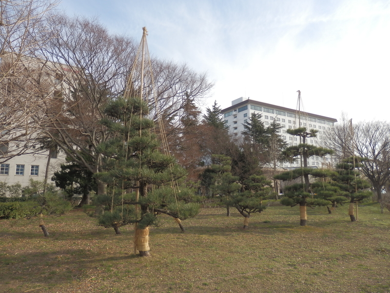 f:id:oborodukiyo22:20190225152900j:plain f:id:oborodukiyo22:20190225152900j:plain