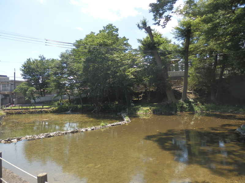 f:id:oborodukiyo22:20190805115437j:plain