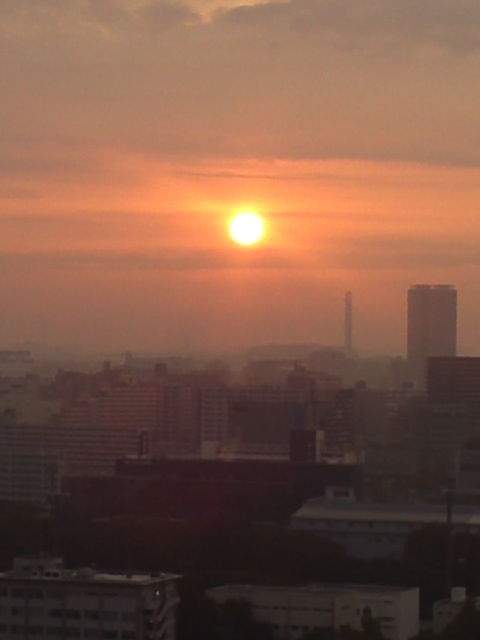 今朝の東京は朝焼けでした