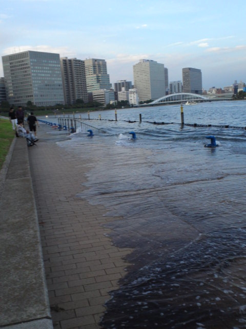 台風の影響か満ち引きか川面あがってる