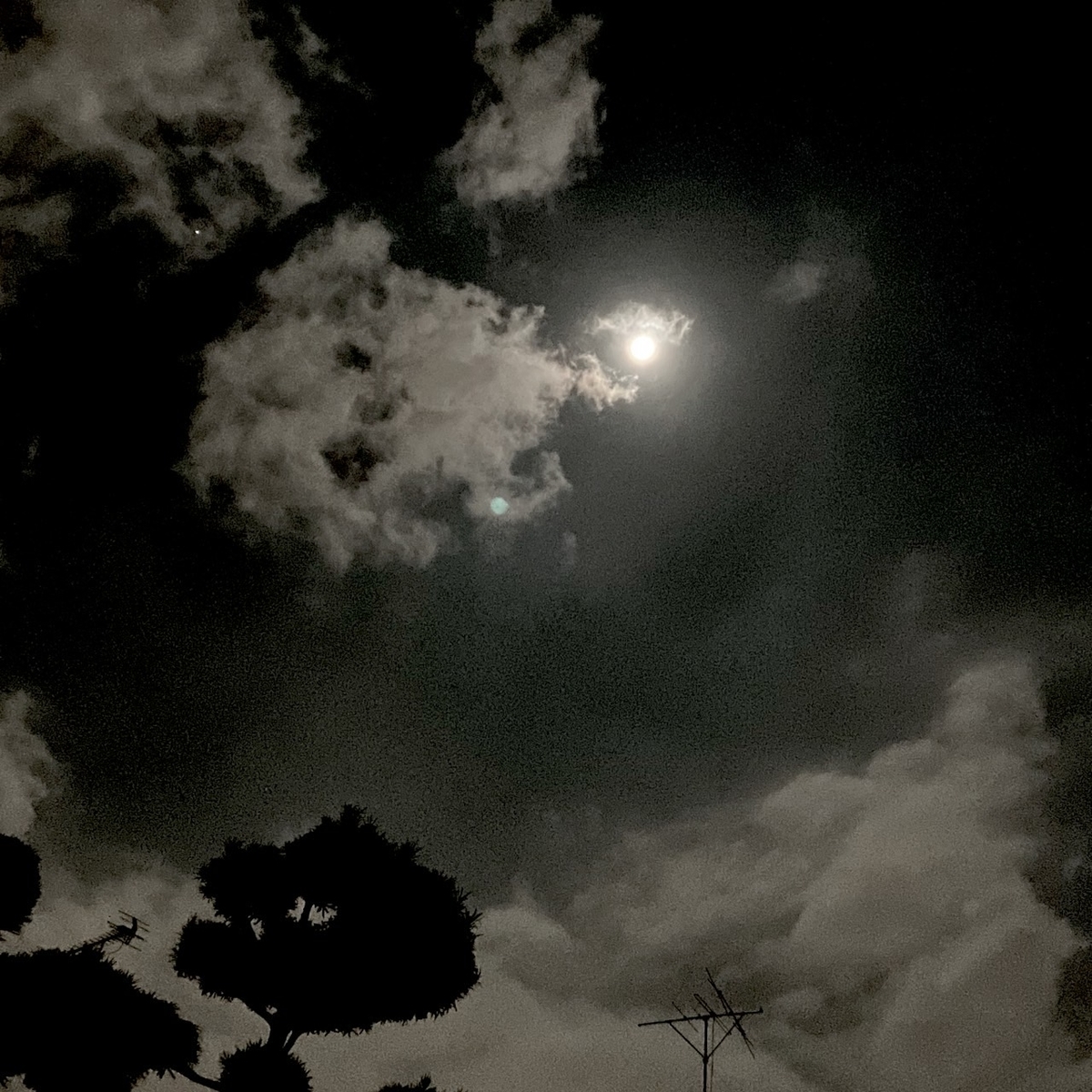 月が綺麗ですね 幼児英語教育 こどもが英語を覚えるには