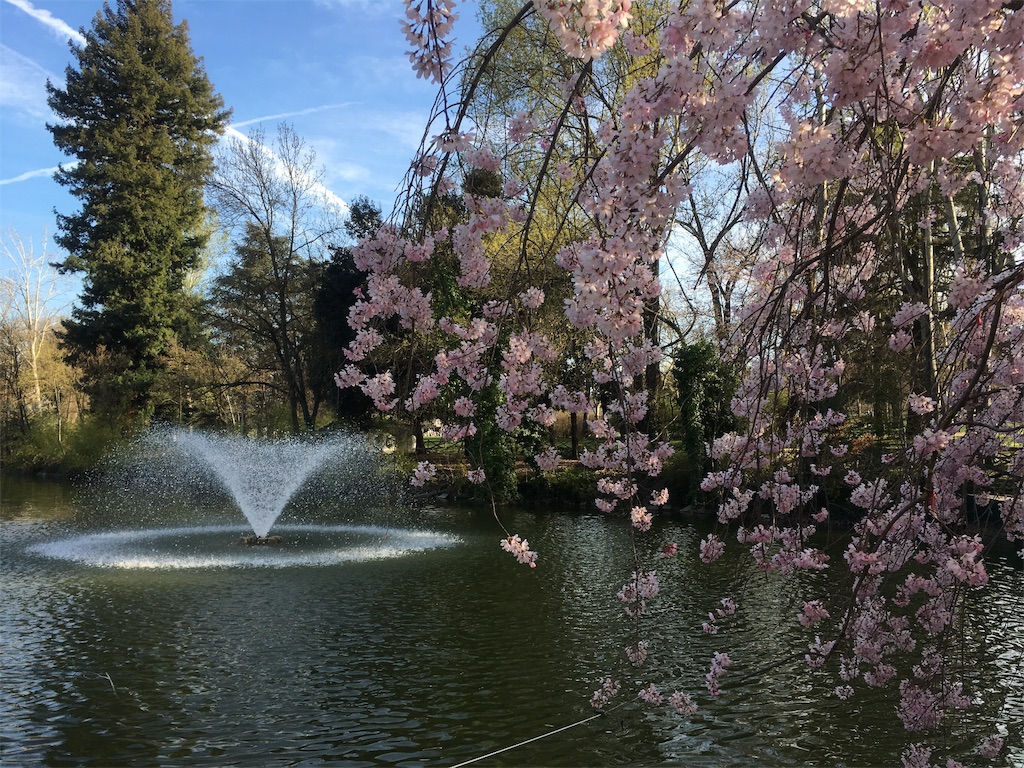 f:id:occhiali_megane:20190318045637j:image f:id:occhiali_megane:20190318045637j:image