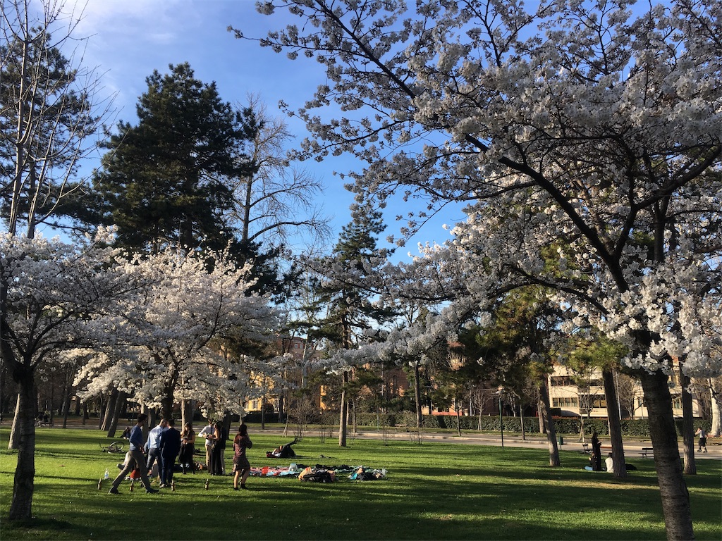 f:id:occhiali_megane:20190318045642j:image f:id:occhiali_megane:20190318045642j:image