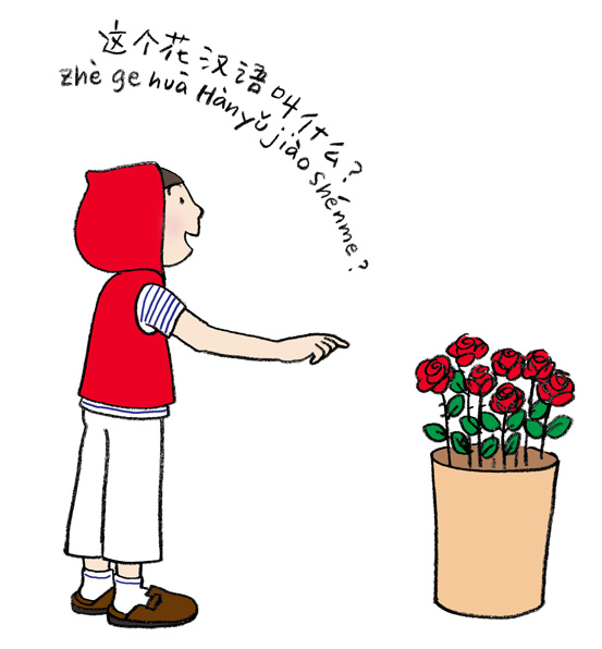 f:id:occho0414:20181226000324j:plain