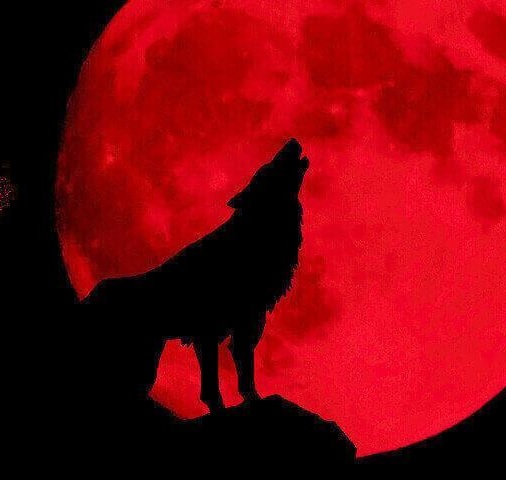 f:id:occulthiroba3088:20191031025556j:plain