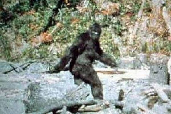 f:id:occulthiroba3088:20191103153221j:plain