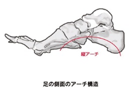 f:id:oceanaid:20190726124628j:plain