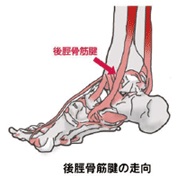 f:id:oceanaid:20190726131502j:plain