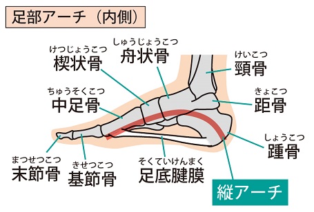 f:id:oceanaid:20190815105538j:plain