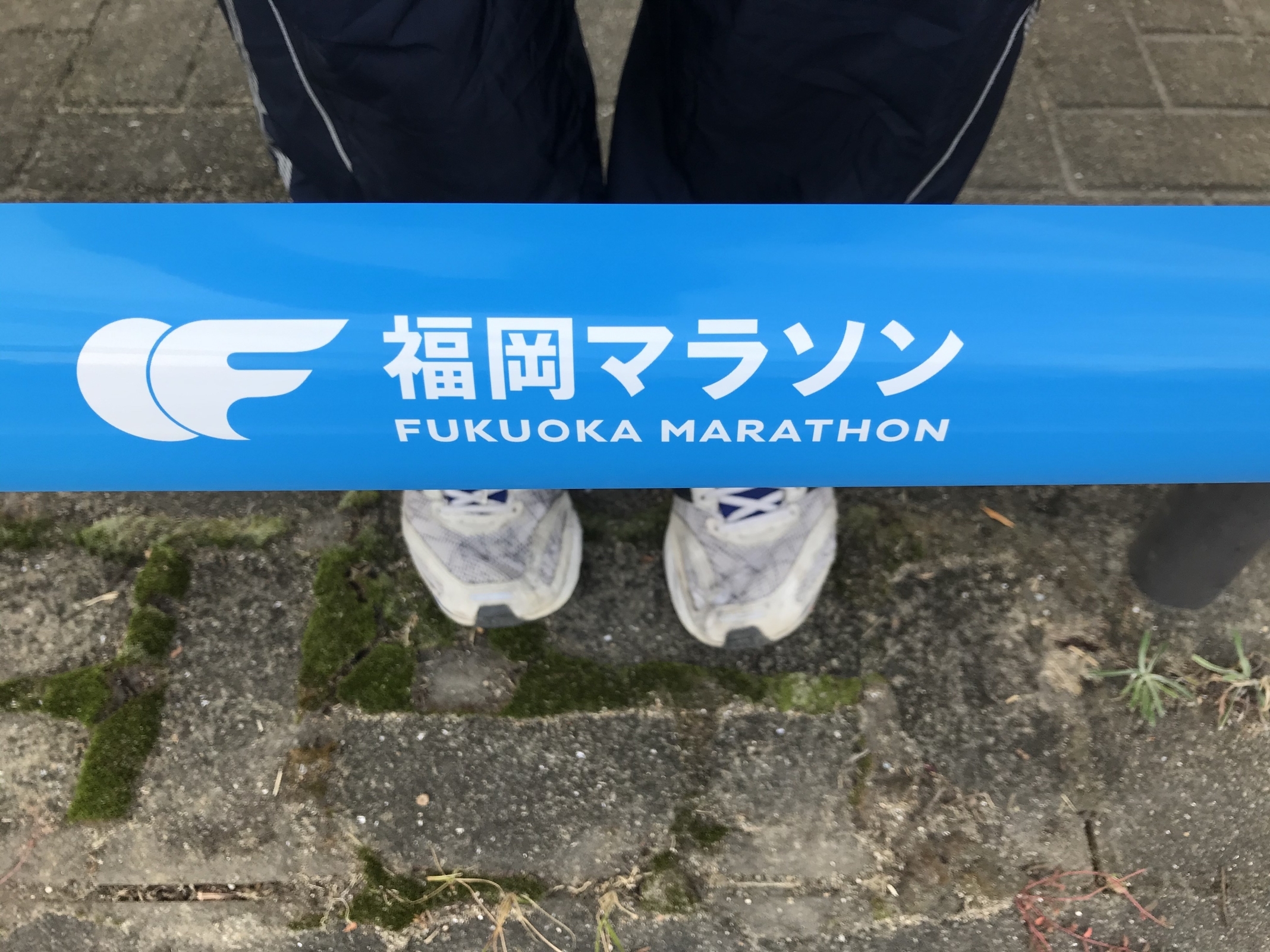 f:id:oceanic006:20191110081612j:plain f:id:oceanic006:20191110081612j:plain