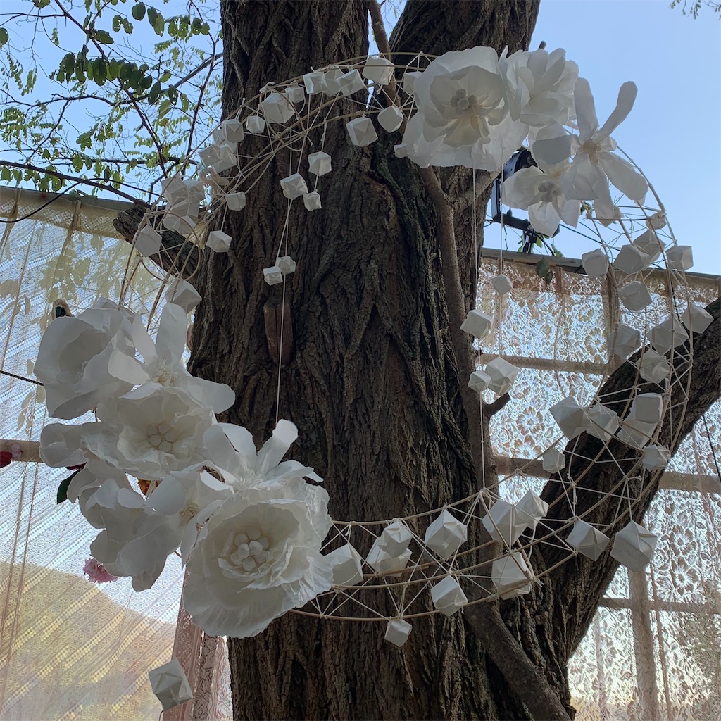 f:id:oceanlily:20191102083453j:image f:id:oceanlily:20191102083453j:image