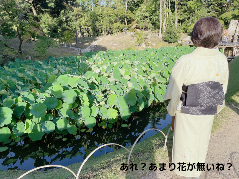 2024年7月の早朝茶会