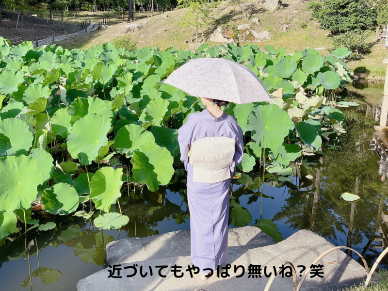 2024年7月の早朝茶会