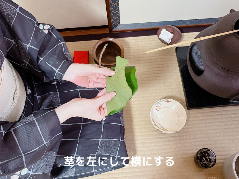 葉蓋(はぶた)点前/裏千家茶道 夏のお点前