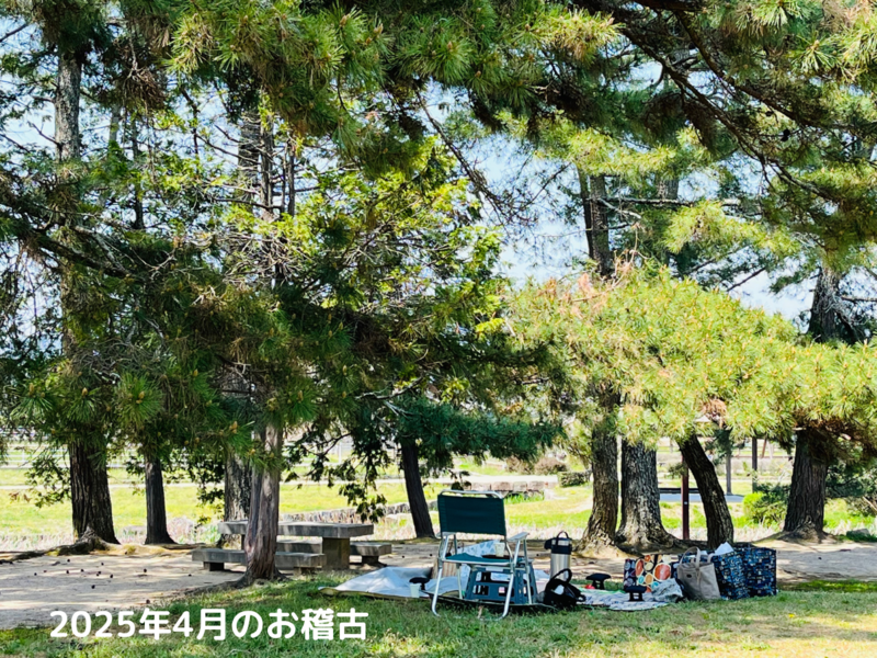 【第12回】2025年4月のお茶道場(裏千家茶道教室)