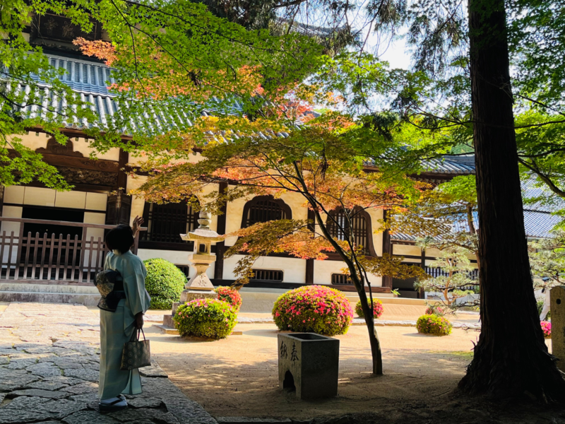 2025年6月のお茶会に行ってきました