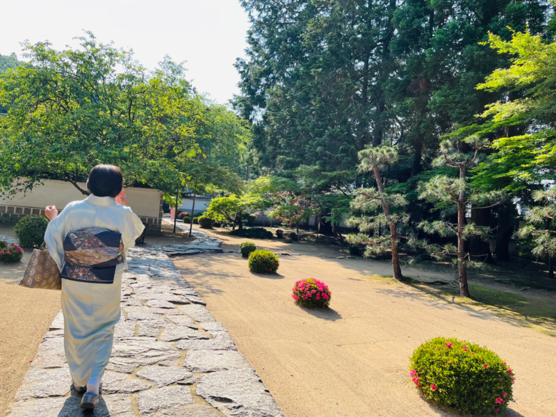 2025年6月のお茶会に行ってきました