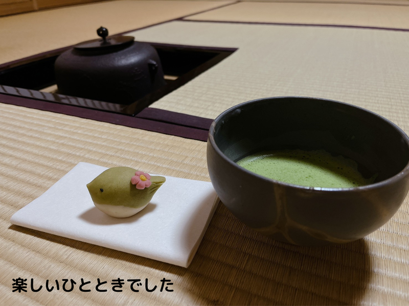 第22回】2026年2月のお茶道場（裏千家茶道教室） - ミッチとしずばぁば