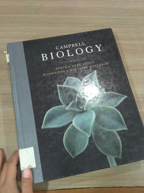 f:id:ochadb:20170117004040j:image